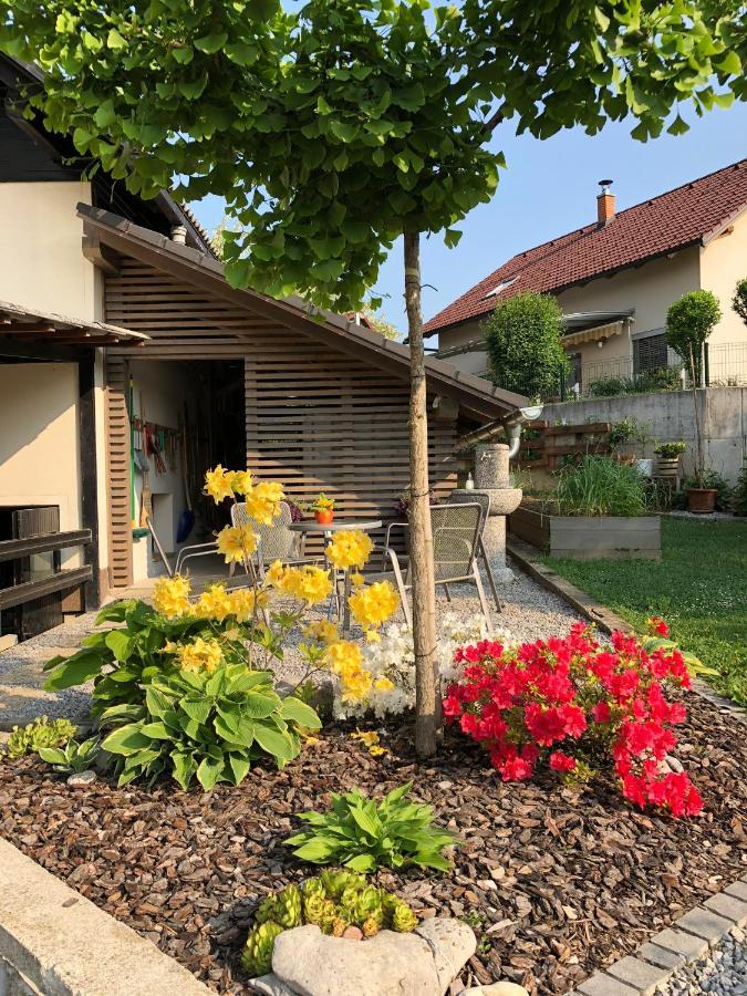 Apartma Nomad Novo Mesto Eksteriør bilde